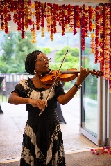 violinfire