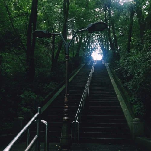 작은 시인의 노래